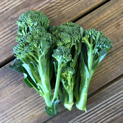 Tender steam broccoli