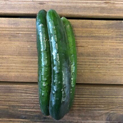 Cucumber