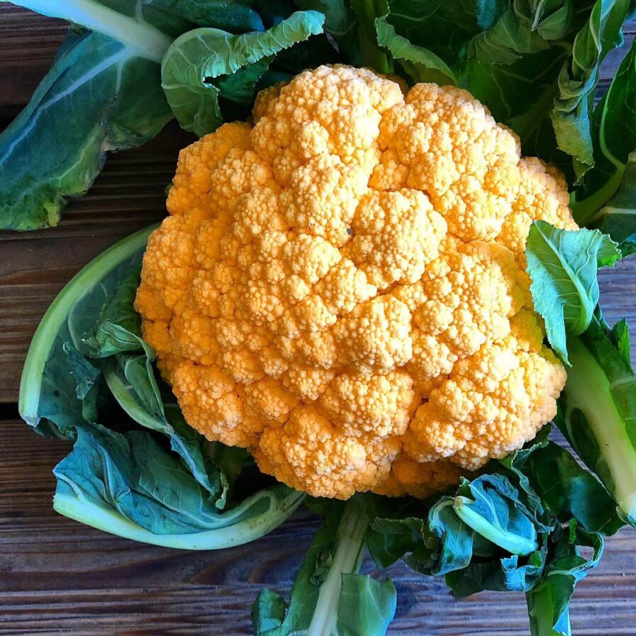 Cauliflower yellow