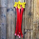 Forced rhubarb