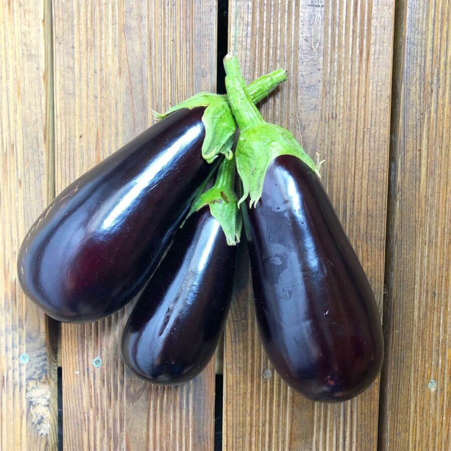 Aubergine classic