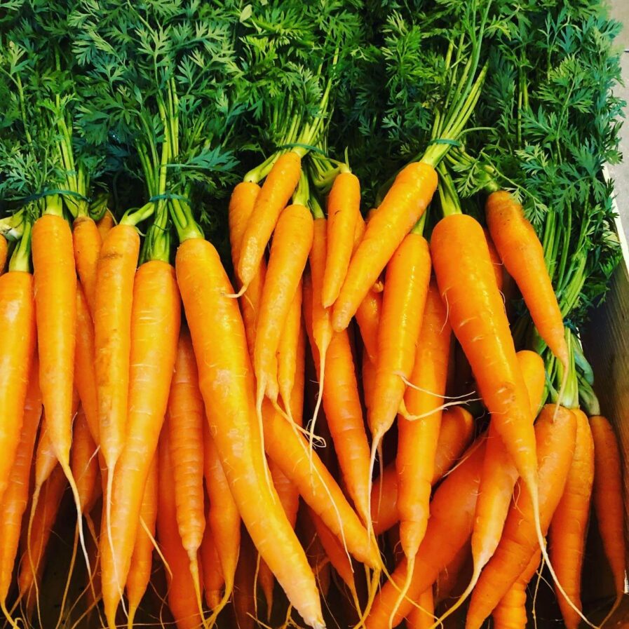 carrot bunch